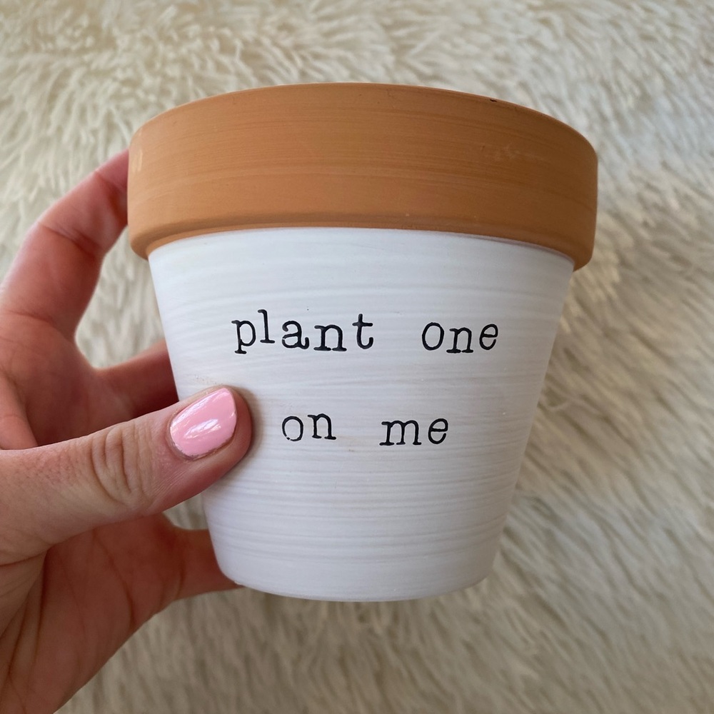 Plant one in me plant clay pot